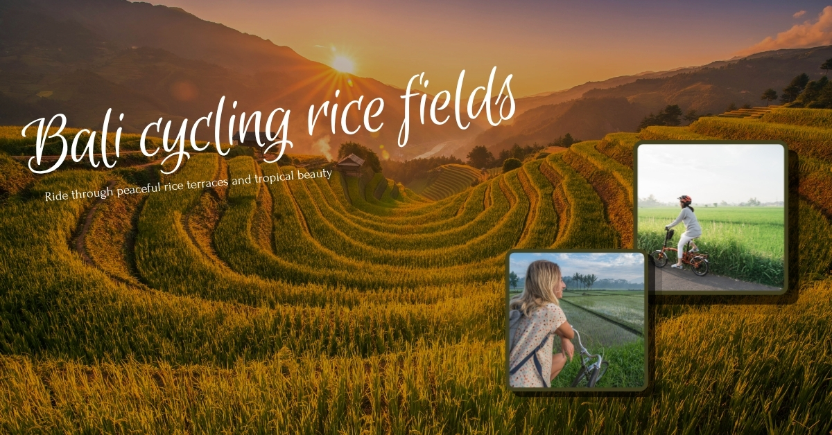 Pedal Through Emerald Terraces and Misty Villages: Bali cycling rice fields That Bring You Closer to the Island's Soul - Image 1