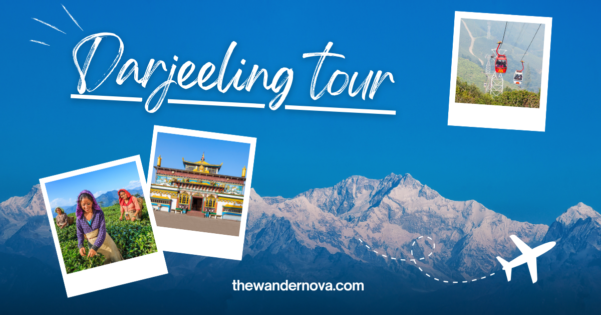 Tea-Steamed Mornings and a Little Train Through the Clouds: The Darjeeling tour That Stays With You - Image 1