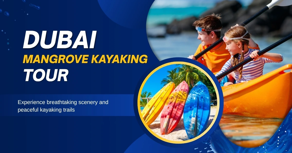 A Quieter Rhythm Unfolds: Discovering a Different City on a Dubai mangrove kayaking tour - Image 1