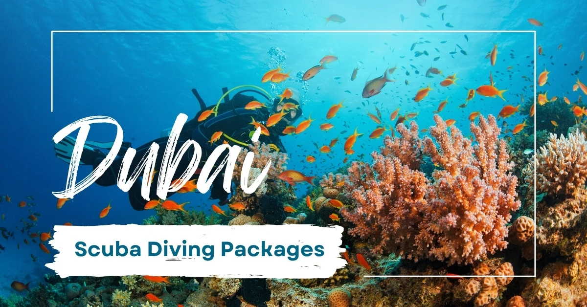 Beyond the Reefs: What Dubai scuba diving packages Actually Reveal Below the Surface - Image 1