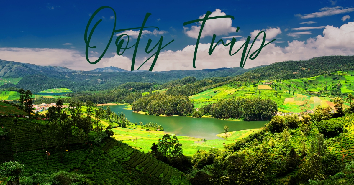 Toy Trains, Tea Gardens, and Misty Peaks: An Ooty Trip That Feels Like a Journey Back in Time - Image 1