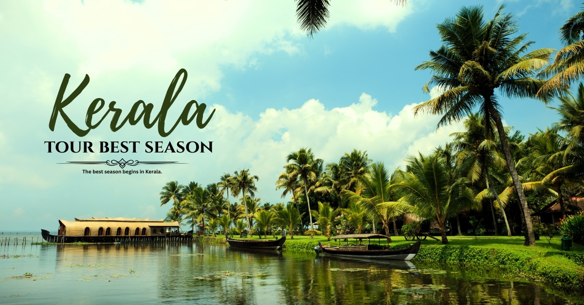 Timing Your Visit: The Best Seasons to Explore Kerala's Stunning Landscapes - Image 1